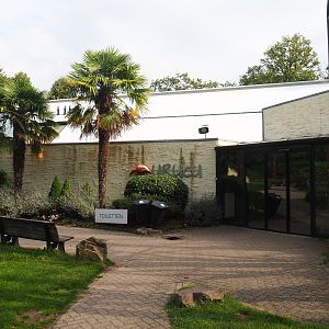Entrance to Urucu house (American tropical house), 2023-08-17