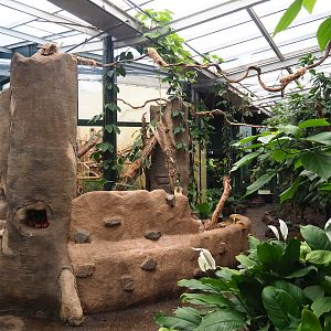 View in Urucu house (American tropical house), 2023-08-17