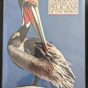 Cormorants, Darters, and Pelicans of The World