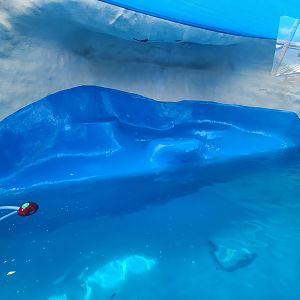 Gulf World - Pinniped presentation pool