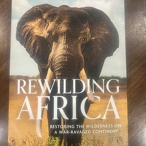 Rewilding Africa