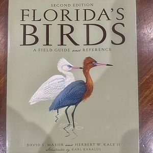 Florida’s Birds