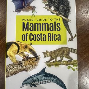 Pocket Guide to the Mammals of Costa Rica