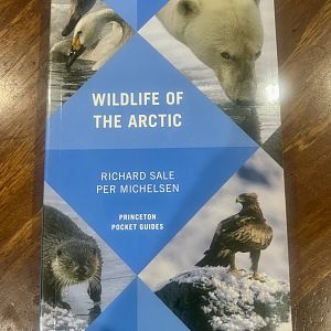 Wildlife of the Arctic