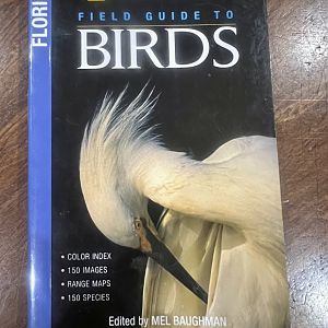 Field Guide to Birds (Florida)