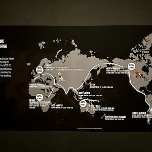 Extinction of Large Mammals Map