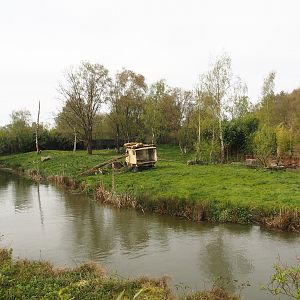 African lion exhibit, 2024-04-06