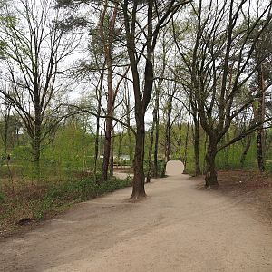 Walkway in black rhinoceros area, 2024-04-06