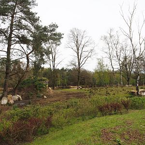 Eastern black rhinoceros exhibit, 2024-04-06