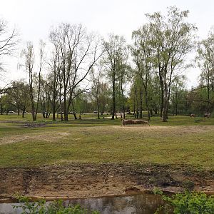 Multi-hectare mixed savanna exhibit seen from the walking safari, 2024-04-06