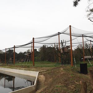 Secretary bird and Rüppell's griffon vulture aviary, 2024-04-06