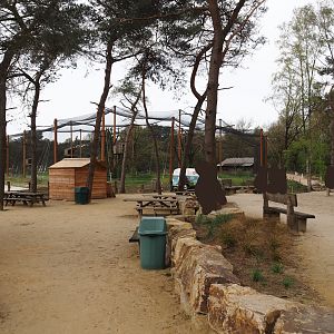 Visitor area near the Secretary bird and Rüppell's griffon vulture aviary, 2024-04-06