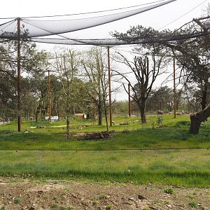 Secretary bird and Rüppell's griffon vulture aviary, 2024-04-06
