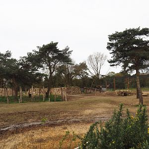 African bush elephant, Defassa waterbuck and Nile lechwe valley, 2024-04-06