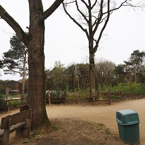 African bush elephant, Defassa waterbuck and Nile lechwe valley viewing area, 2024-04-06