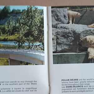 Monorail and Polar Bears