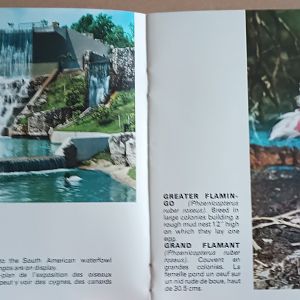 Waterfall and Flamingo