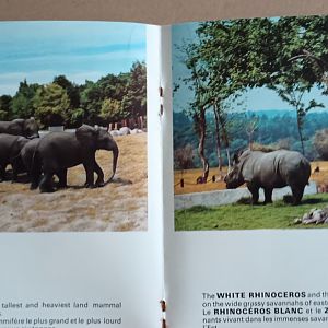 Elephants, White Rhinoceros and Grants Zebra
