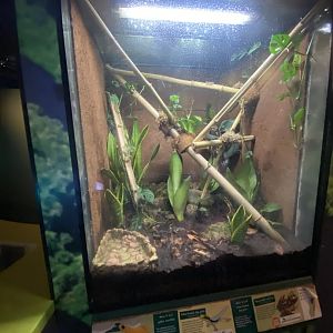 Toad Hall - Mixed exhibit 110424