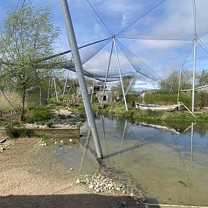 Waterscapes Aviary 110424