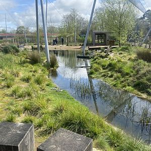 Waterscapes Aviary 110424