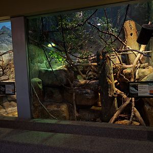 Green tree monitor enclosure