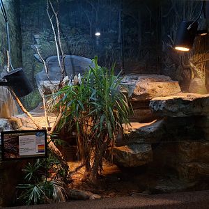 African rock python enclosure