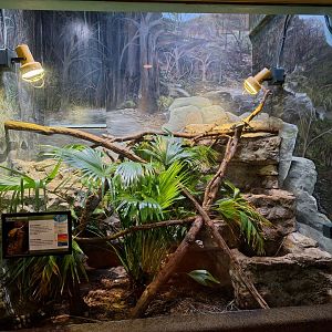 Grey's monitor enclosure