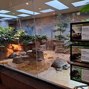 Giant tortoises signage