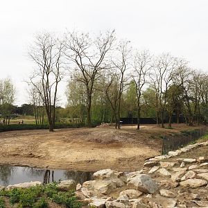 Springbok paddock, 2024-04-06