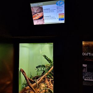 Southern cantil enclosure