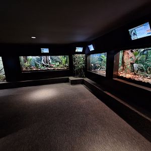 Right side back hall