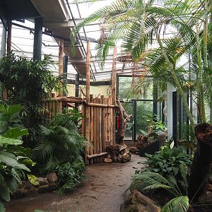 View in Urucu (American tropical house), 2023-08-17