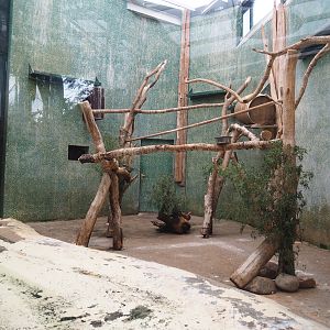 Indoor aviary for ibises, 2023-08-17