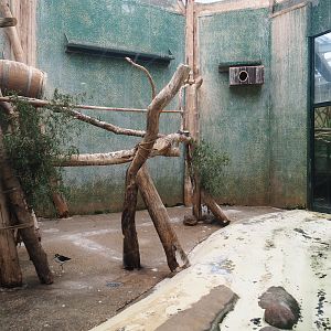 Indoor aviary for ibises, 2023-08-17