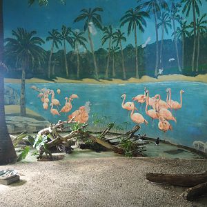 Indoor aviary for ducks, stilts and Inca terns, 2023-08-17