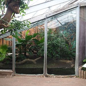 Javan mouse deer and Galah exhibit, 2023-08-17