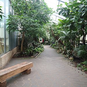 Bornean orangutan house visitor area, 2023-08-17