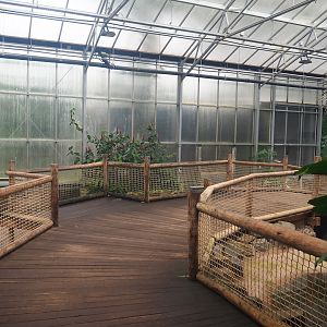 Aldabra giant tortoise house, 2023-08-17