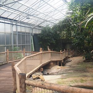 Aldabra giant tortoise house, 2023-08-17