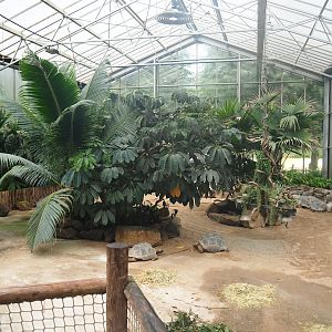 Aldabra giant tortoise house - Main exhibit for the largest tortoises, 2023-08-17