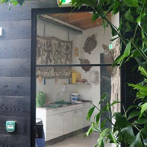 Aldabra giant tortoise house kitchen, 2023-08-17