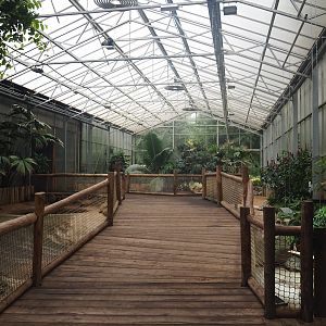 Aldabra giant tortoise house, 2023-08-17