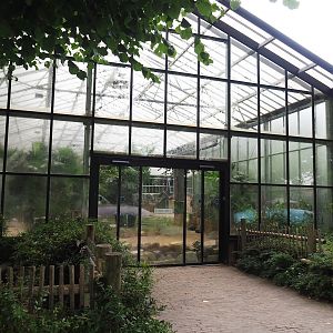 Aldabra giant tortoise house, 2023-08-17