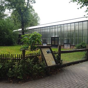 Aldabra giant tortoise outdoor paddock, 2023-08-17