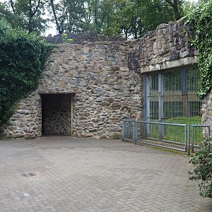 Viewing area for smaller Amur tiger exhibit and access to Amur tiger viewing tunnel, 2023-08-17