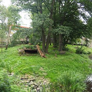 Main Amur tiger exhibit, 2023-08-17