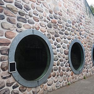 Western lowland gorilla, King colobus and Meerkat indoor exhibit, 2023-08-17