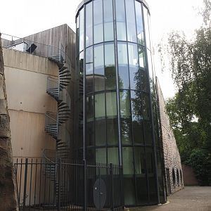 Gorilla building, 2023-08-17