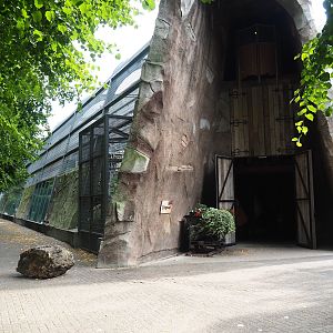 Gorilla building, 2023-08-17